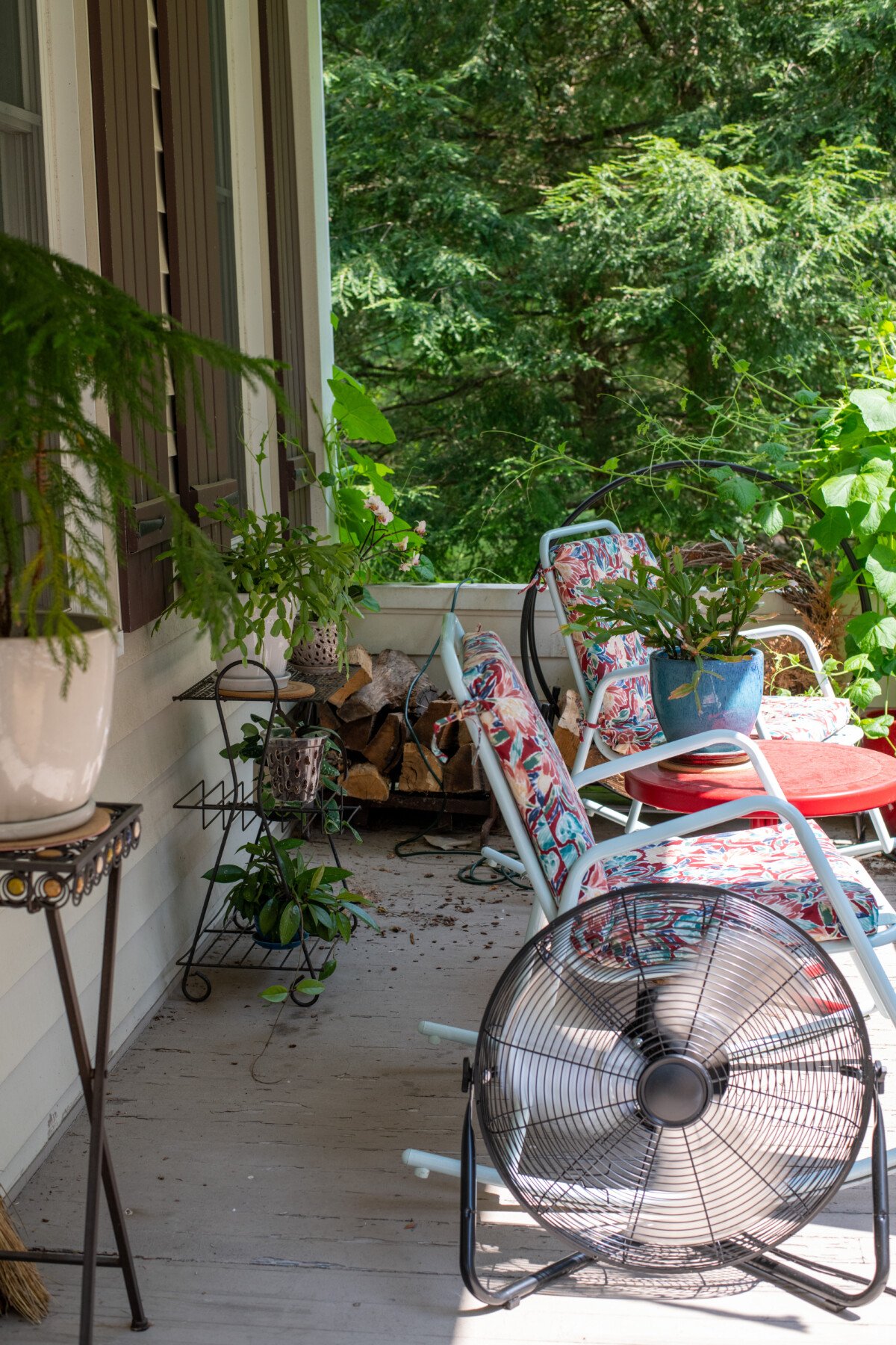 Porch with rocking chairs and multiple houseplants, including two Schlumbergera.