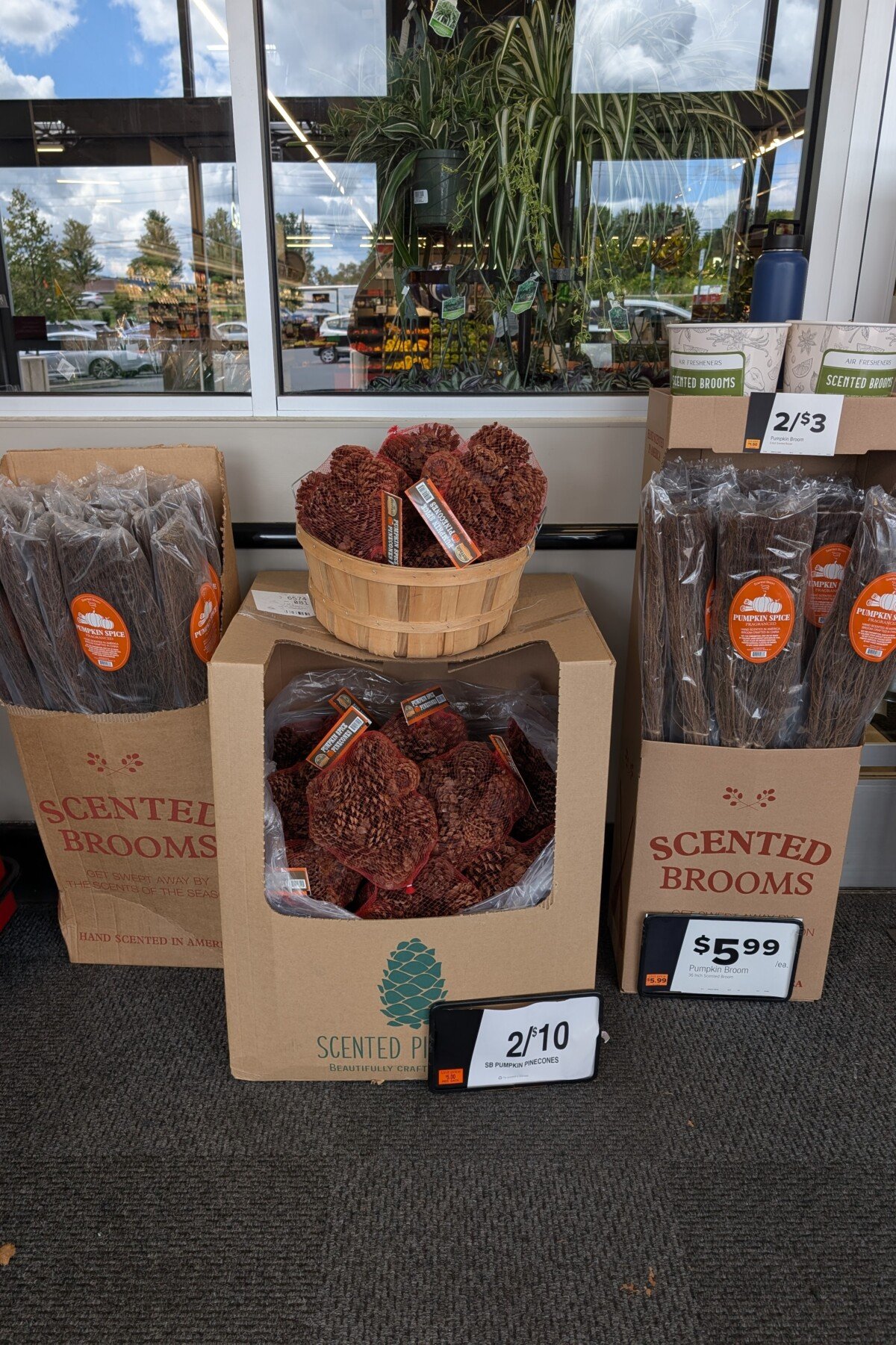 Pumpkin spice scented decorative brooms and pine cones.