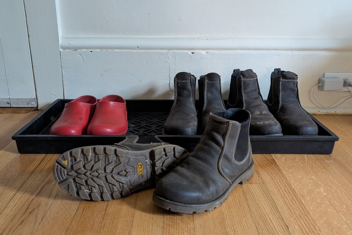 KEEN work boots on a tray, red garden clogs next to them.