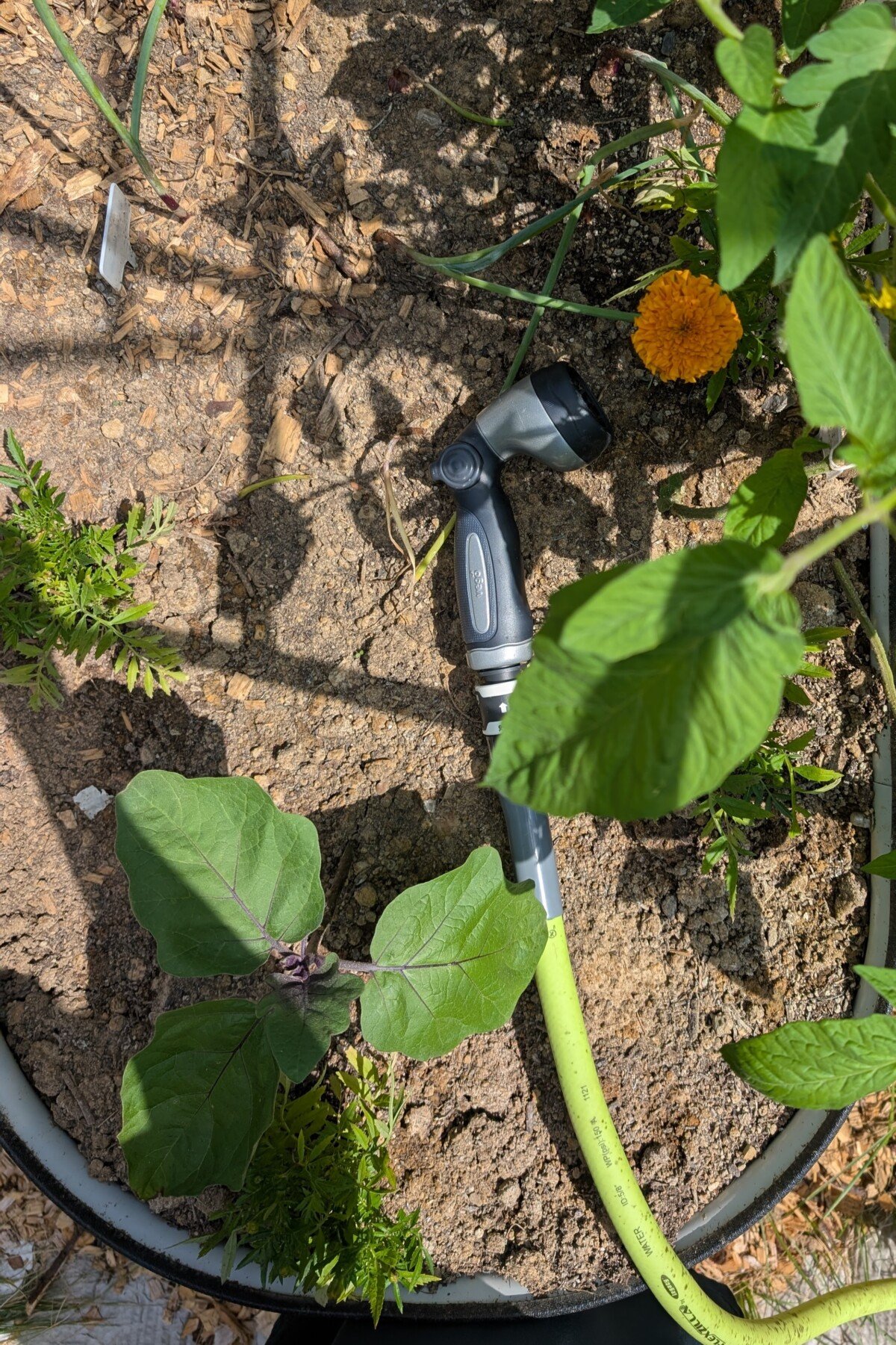 Garden hose lying on dirt of raised bed.