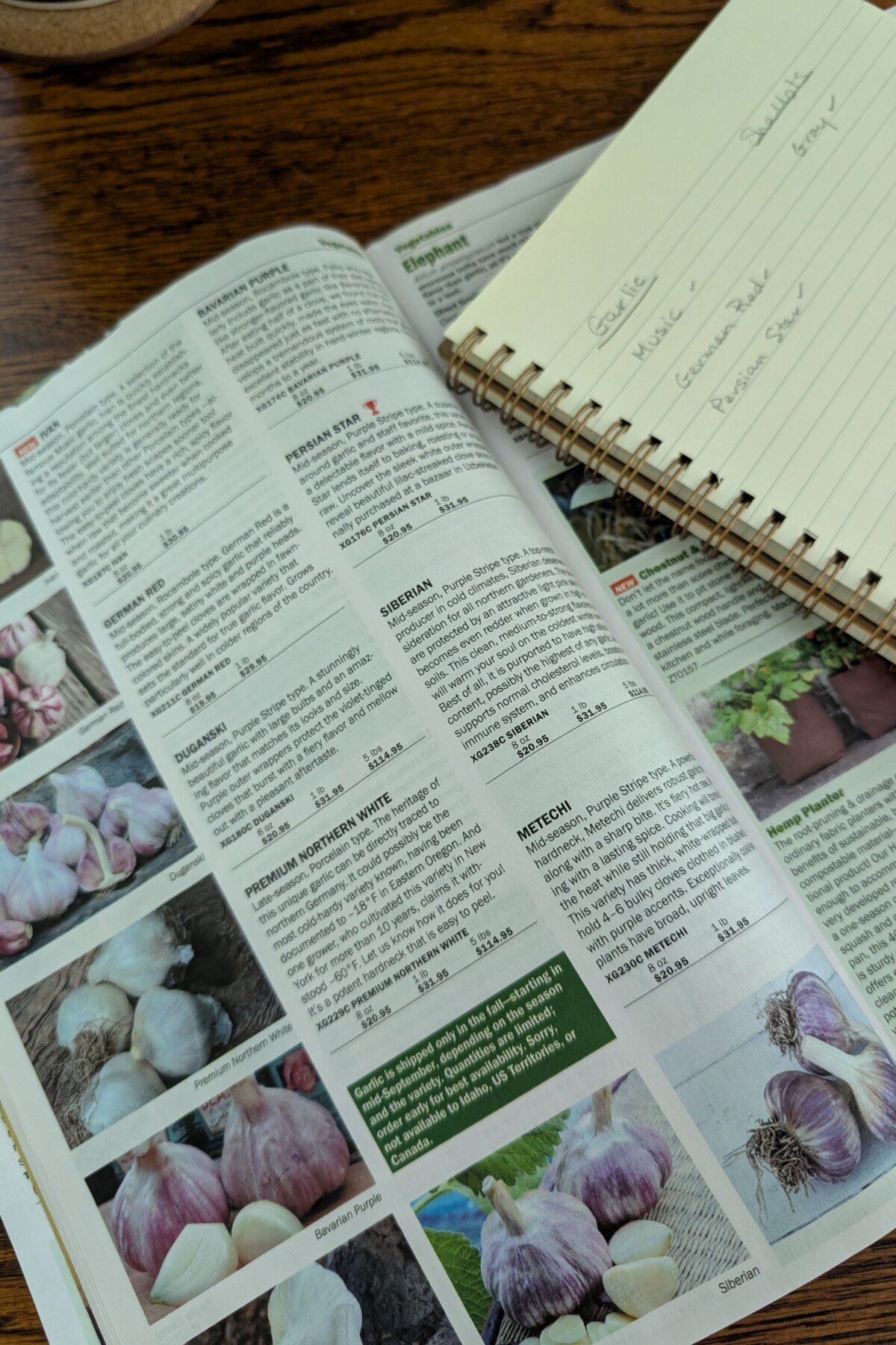 Vegetable seed catalog showing types of garlic Vegetable seed catalog showing types of garlic