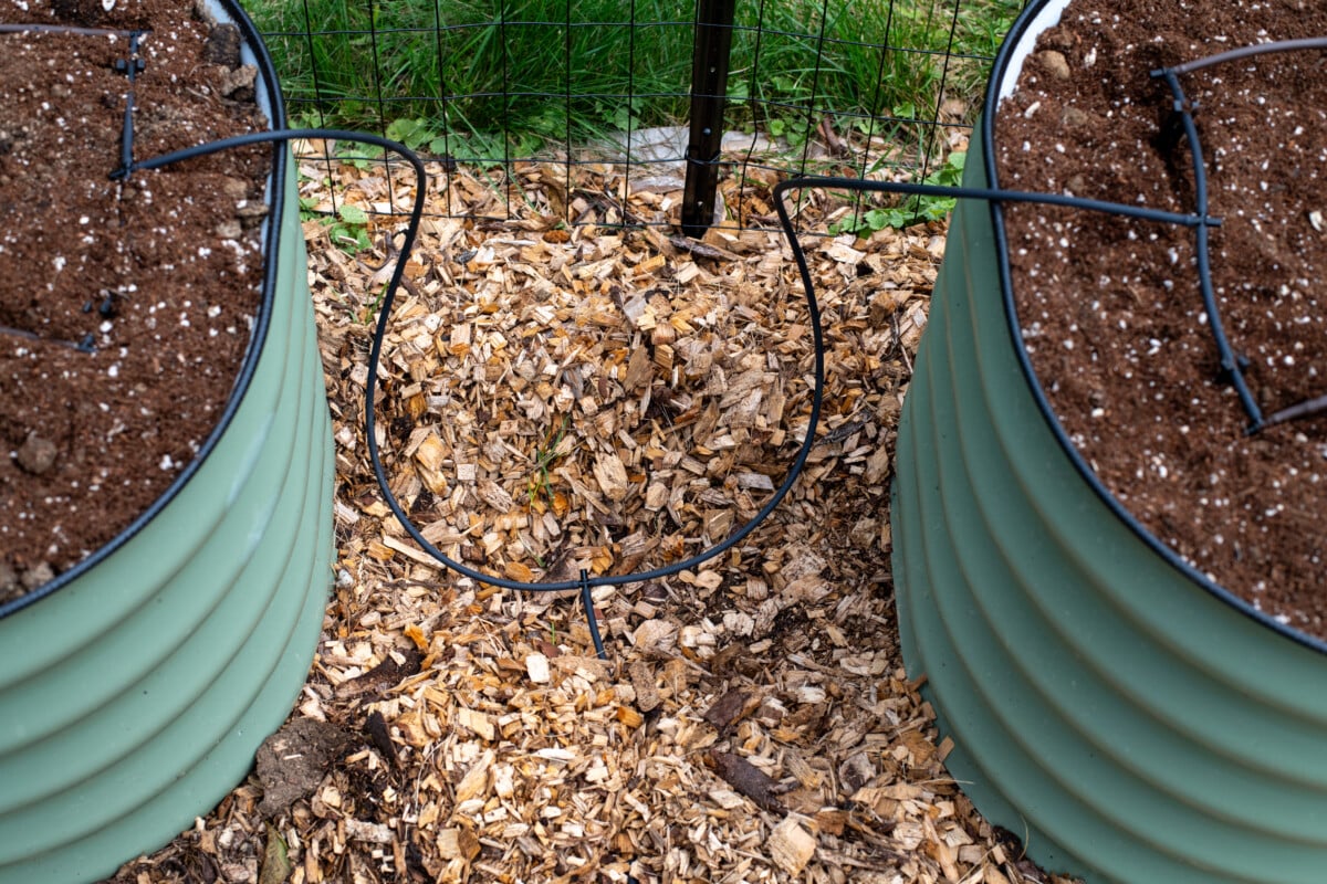 Irrigation tubing connecting two raised beds.