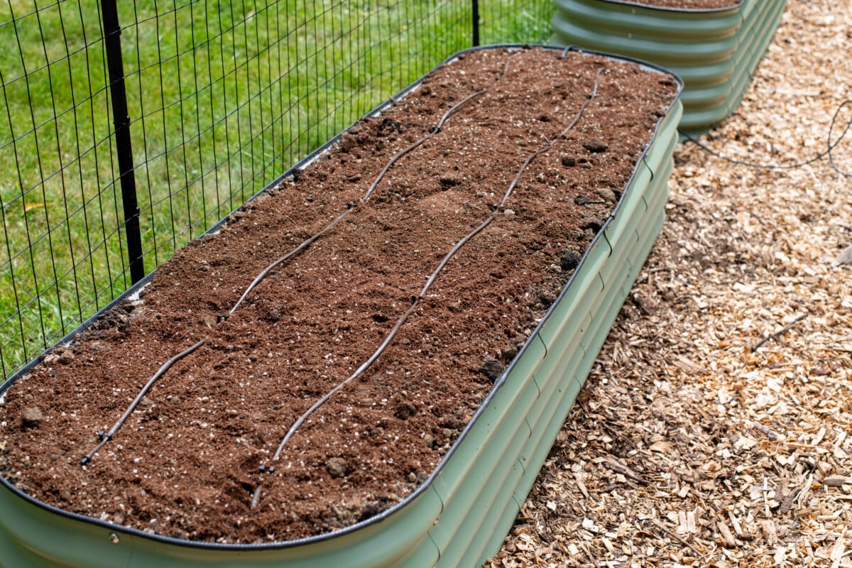 Raised beds with drip irrigation installed