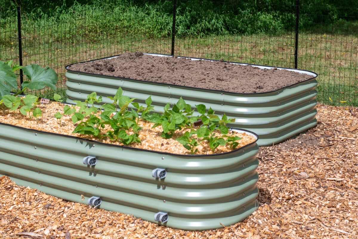 Raised beds in sunshine