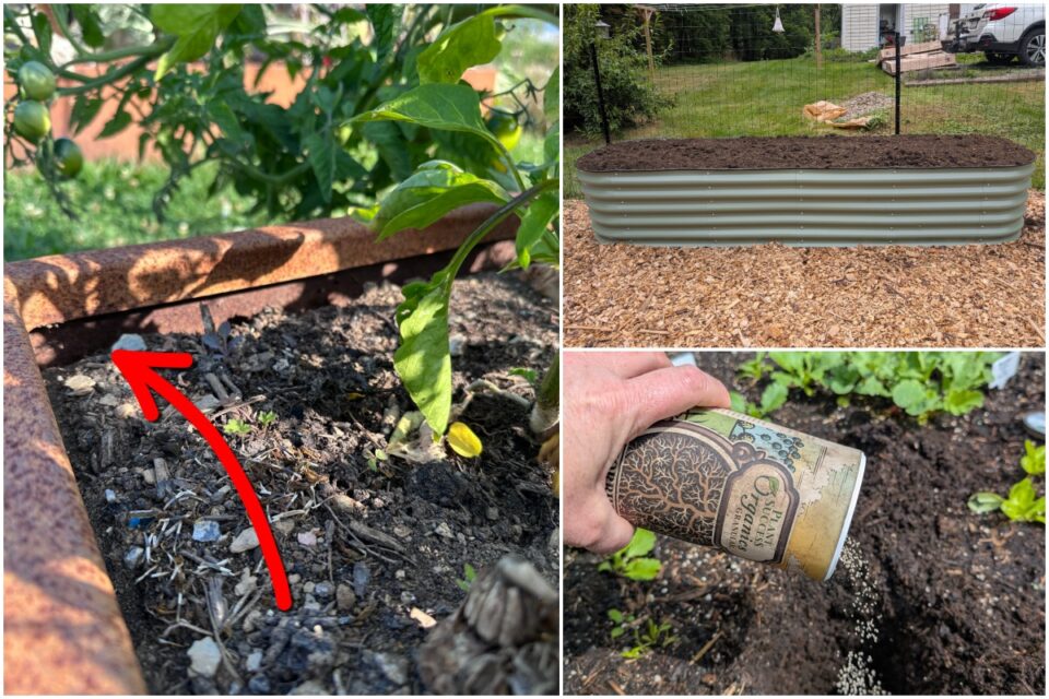 These Raised Bed Soil Red Flags Mean It's Time for a Reset