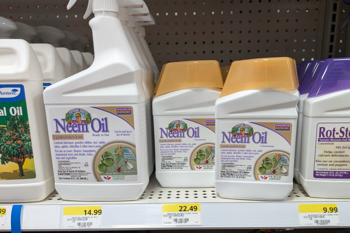 Bottles of neem oil on a store shelf Bottles of neem oil on a store shelf