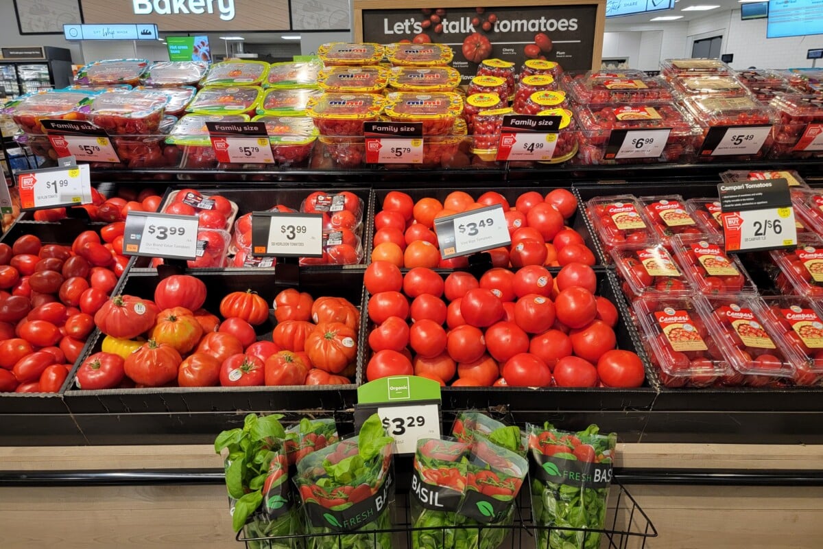 Display of fresh tomatoes in a grocery store.