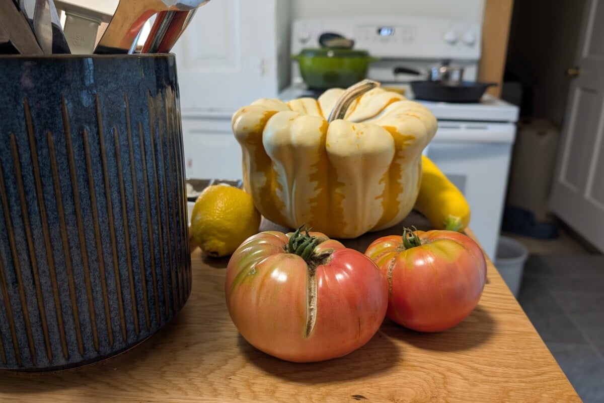 Tomatoes and other vegetables on a kitchen counter