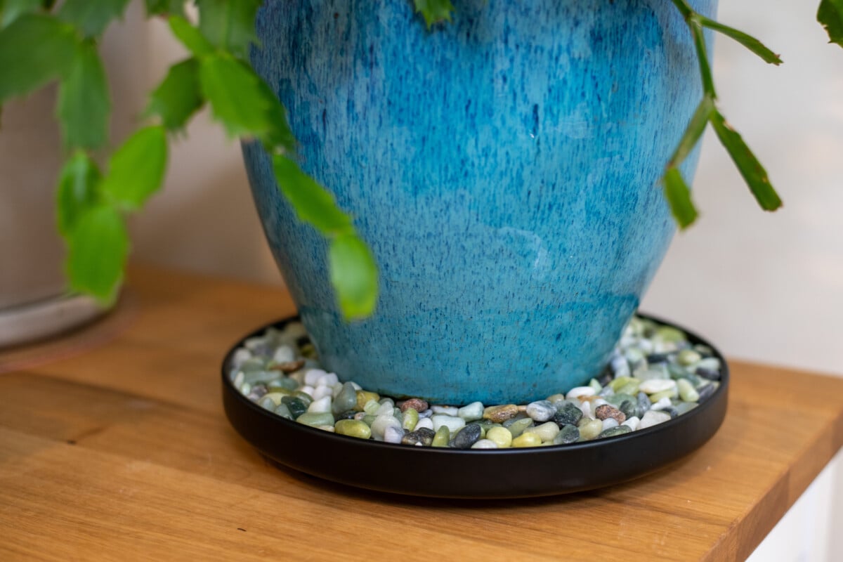 Pebble tray with green pebbles.