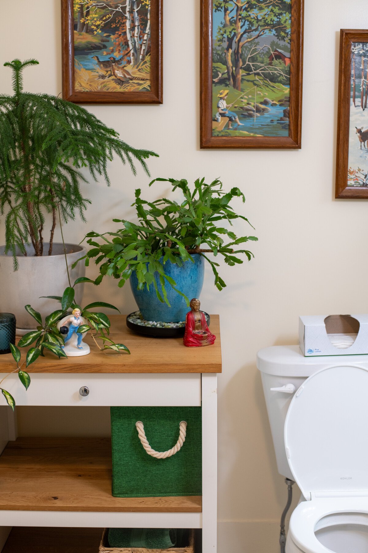 Christmas cactus and other plants in a bathroom.
