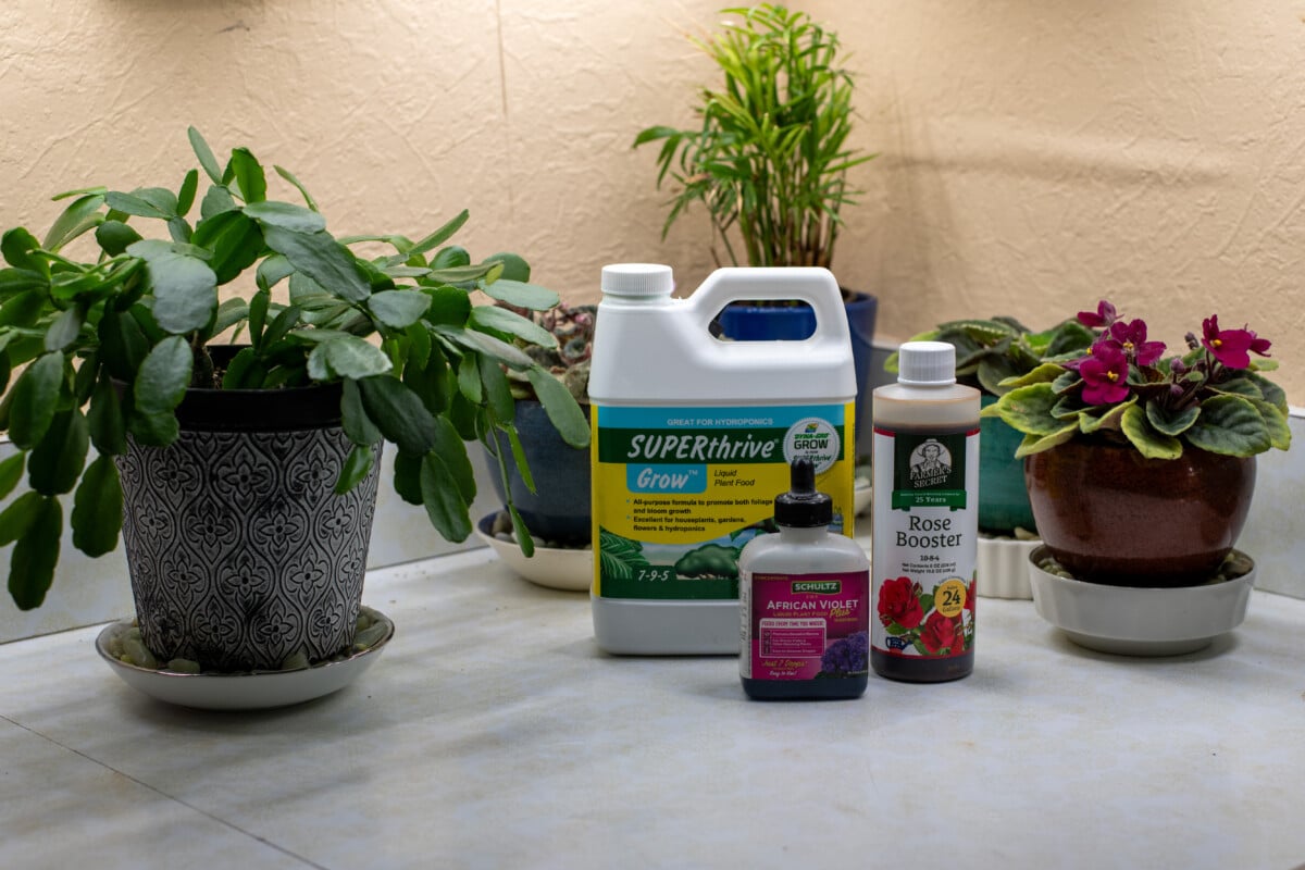 Flowering plants next to bottles of fertilizer