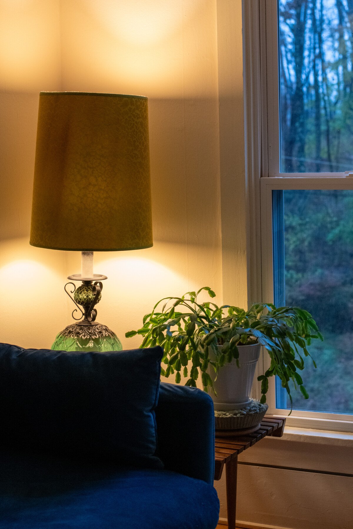 Christmas cactus next to a lamp, fading daylight in the window