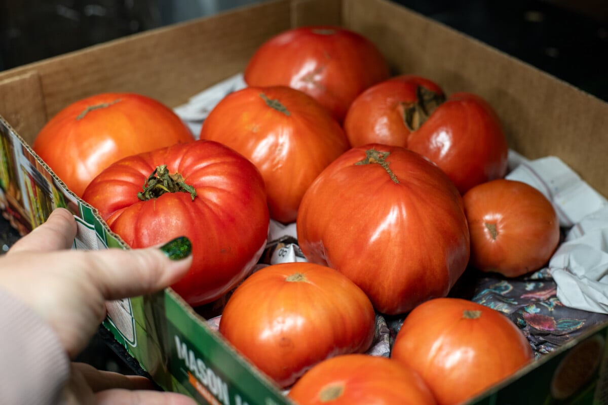 Woman's hand moving a mason jar box filled with ripe red tomatoes