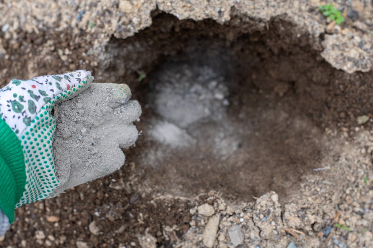 Gloved hand sprinkling wood ash into hole