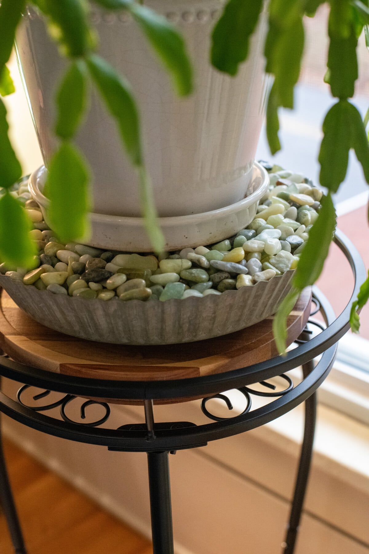 Christmas cactus on plant stand with a lazy-suzan under the pot.