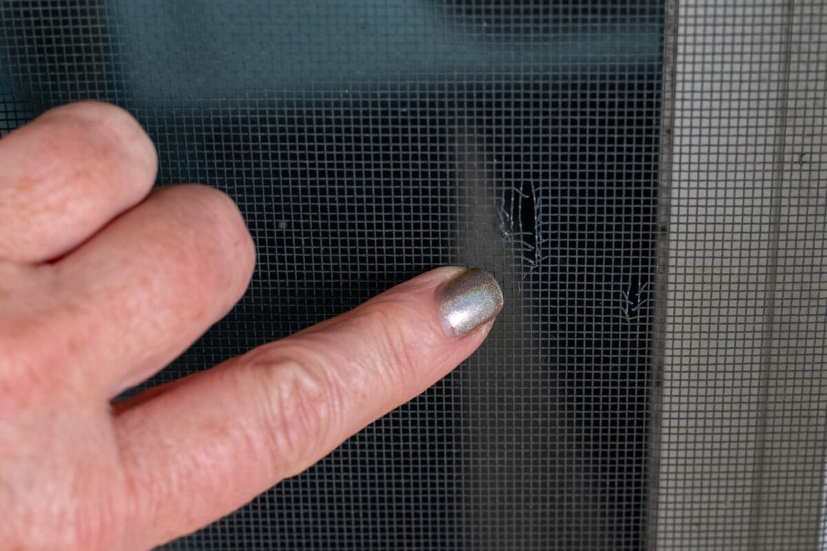 Woman's finger pointing to torn window screen