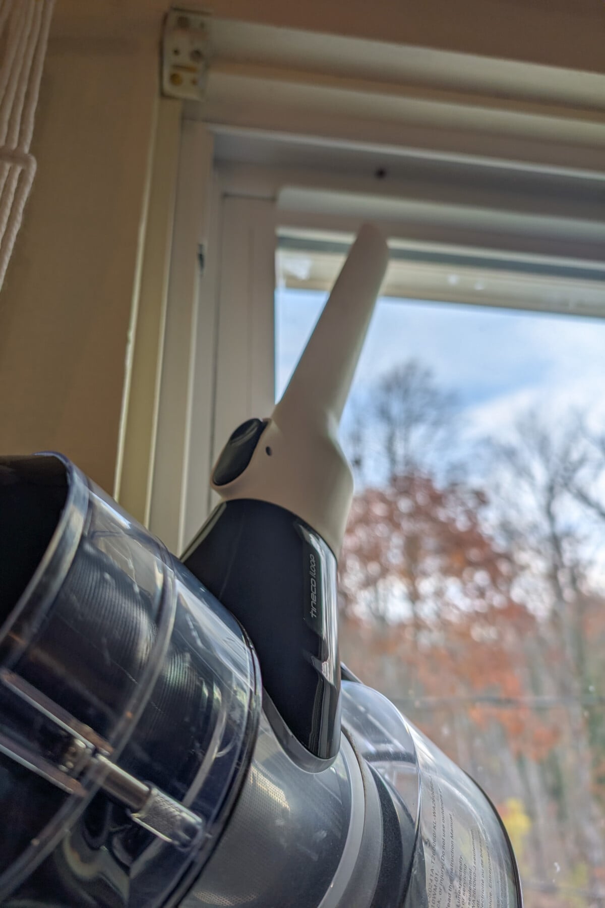 vacuum cleaner sucking up ladybugs on window