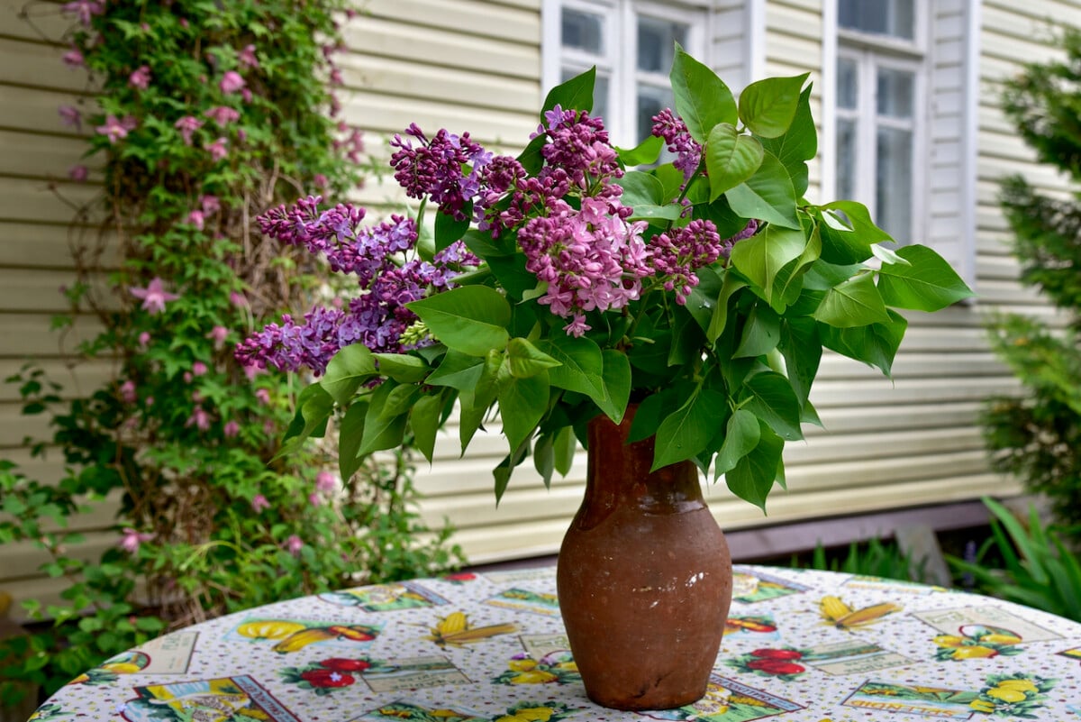 A bouquet of lilac flowers