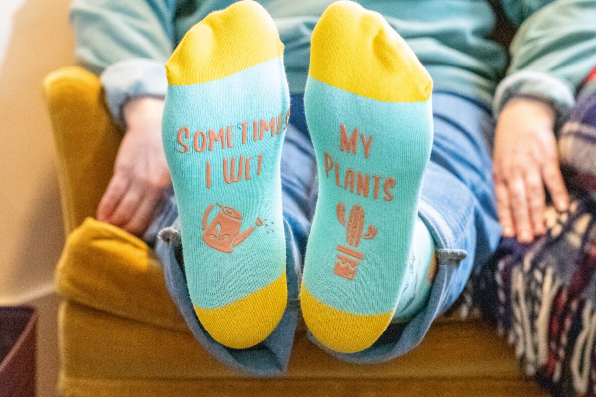 Houseplant socks