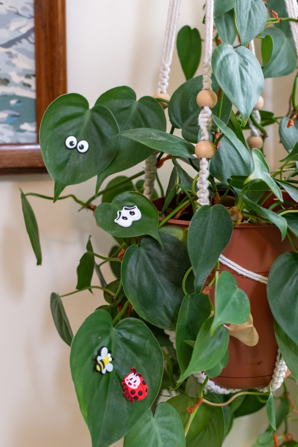 Magnets on houseplant