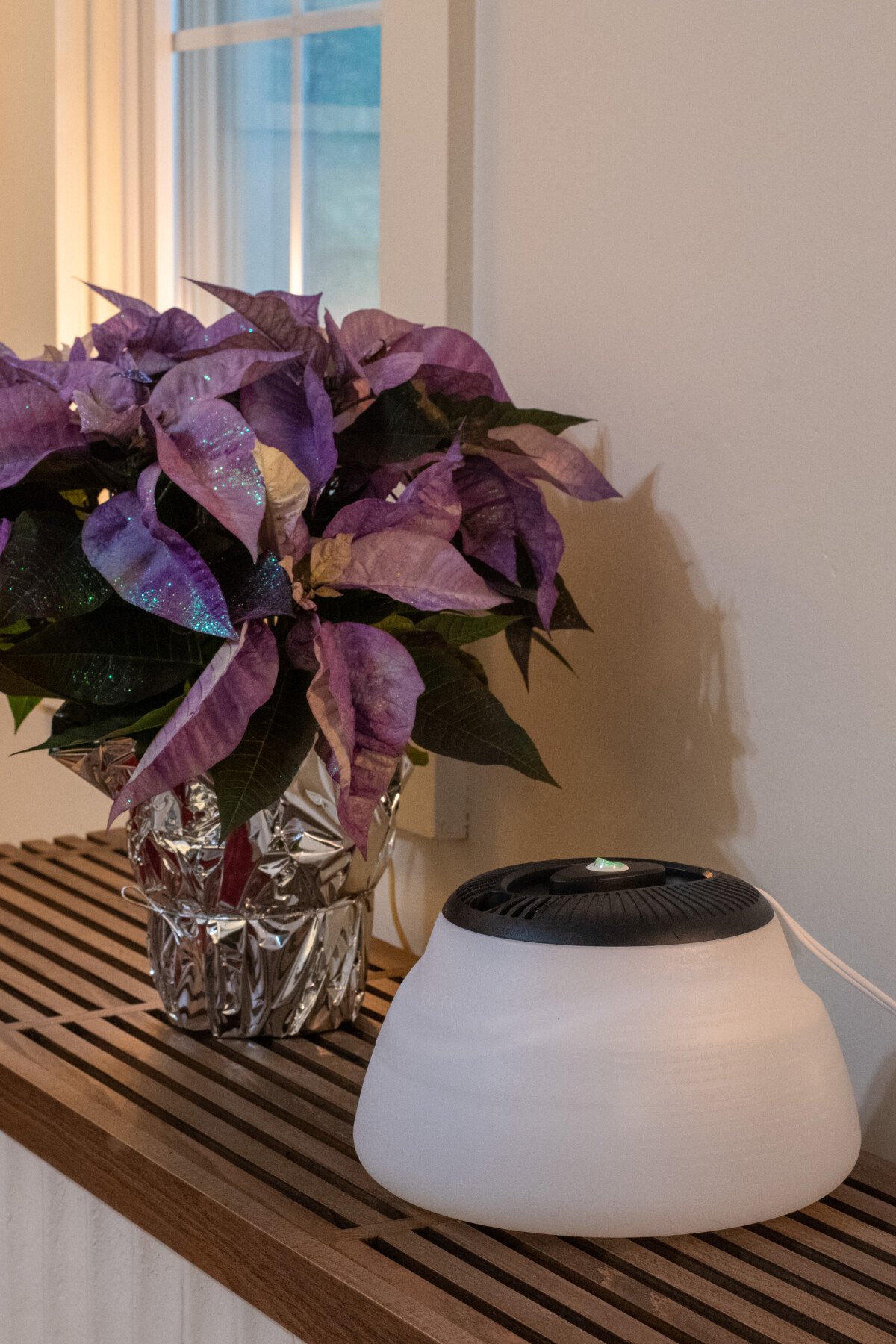 Poinsettia next to warm steam vaporizer