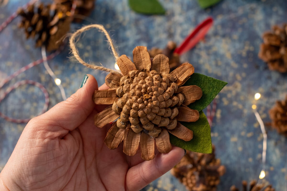 Pinecone sunflower