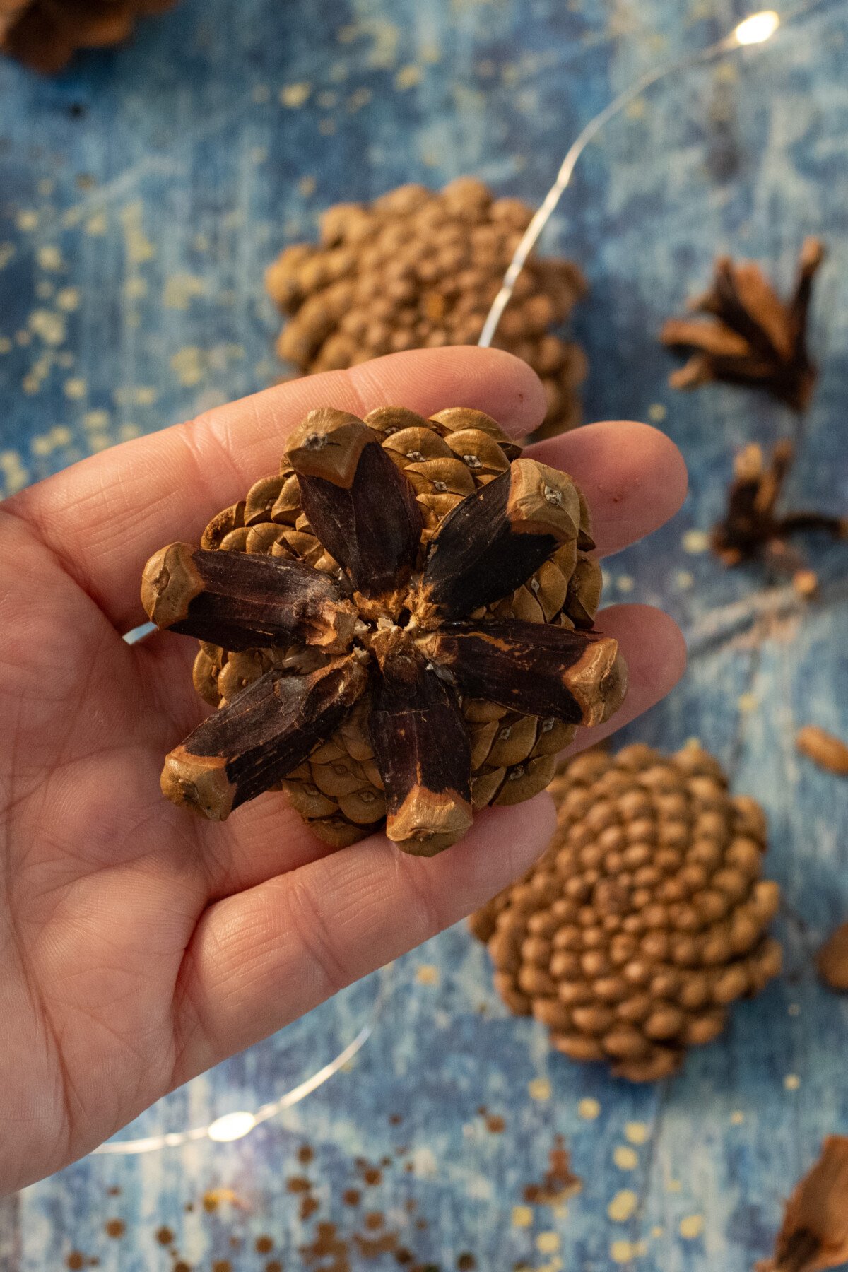 Woman's hand holding pinecone flower