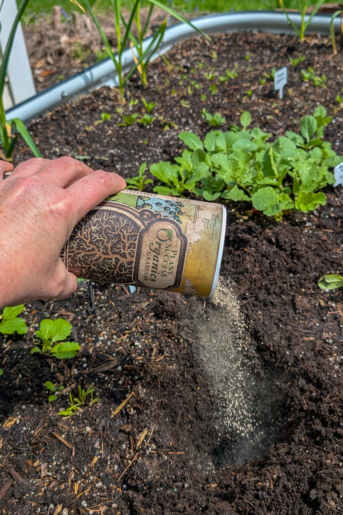 Woman's hand pouring mycorrhizae from canister
