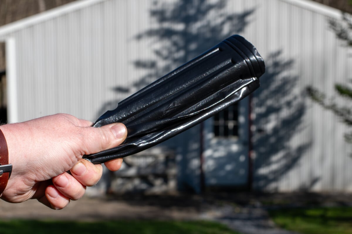 woman's hand holding tree seedling pot