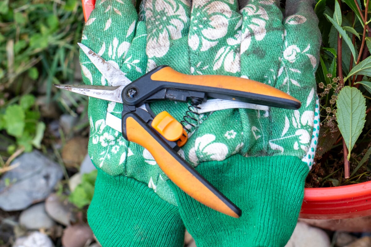 Fiskars garden snips