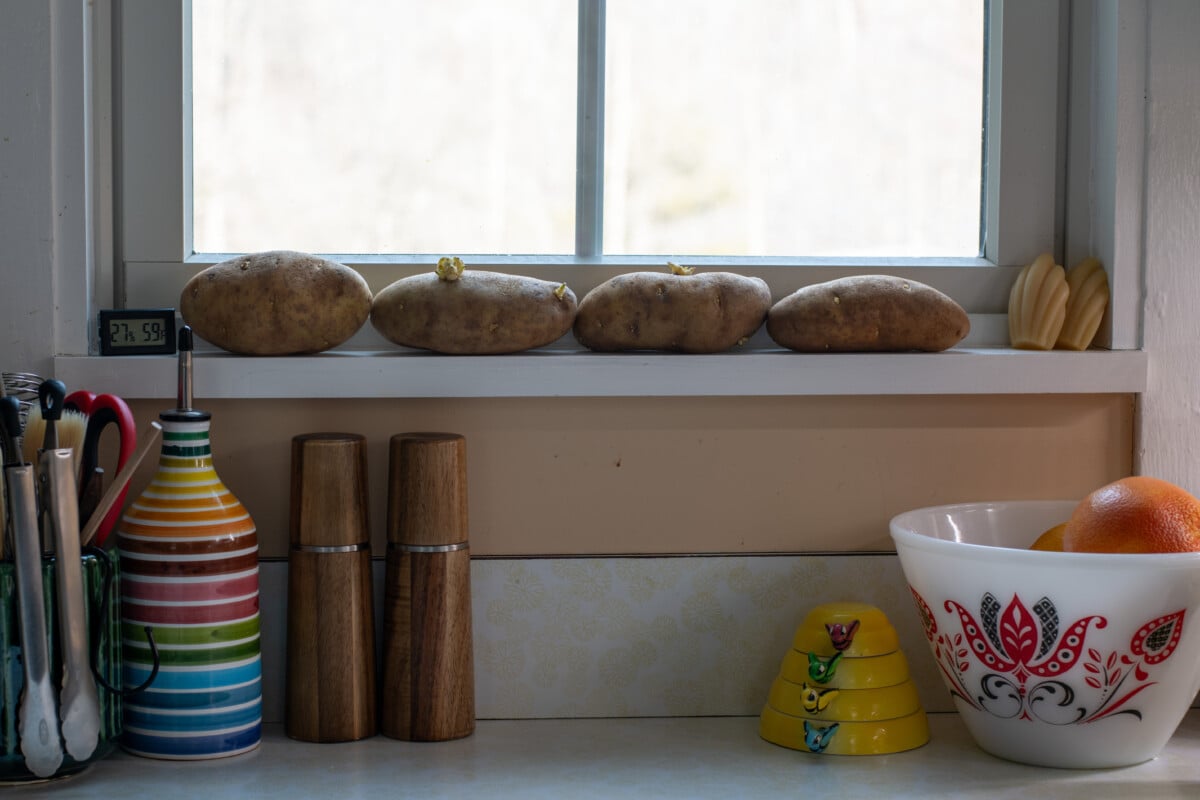 Potatoes on windowsill