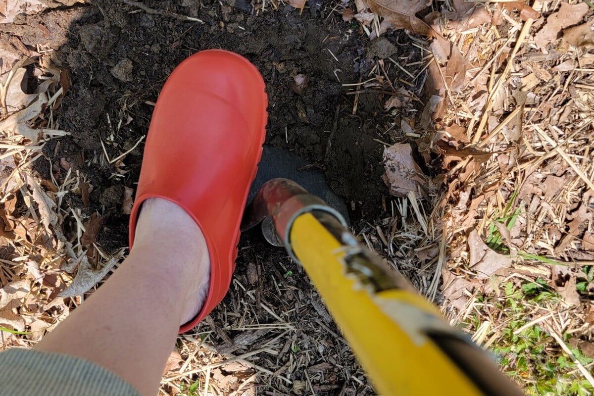 woman's foot pushing shovel into hole in ground