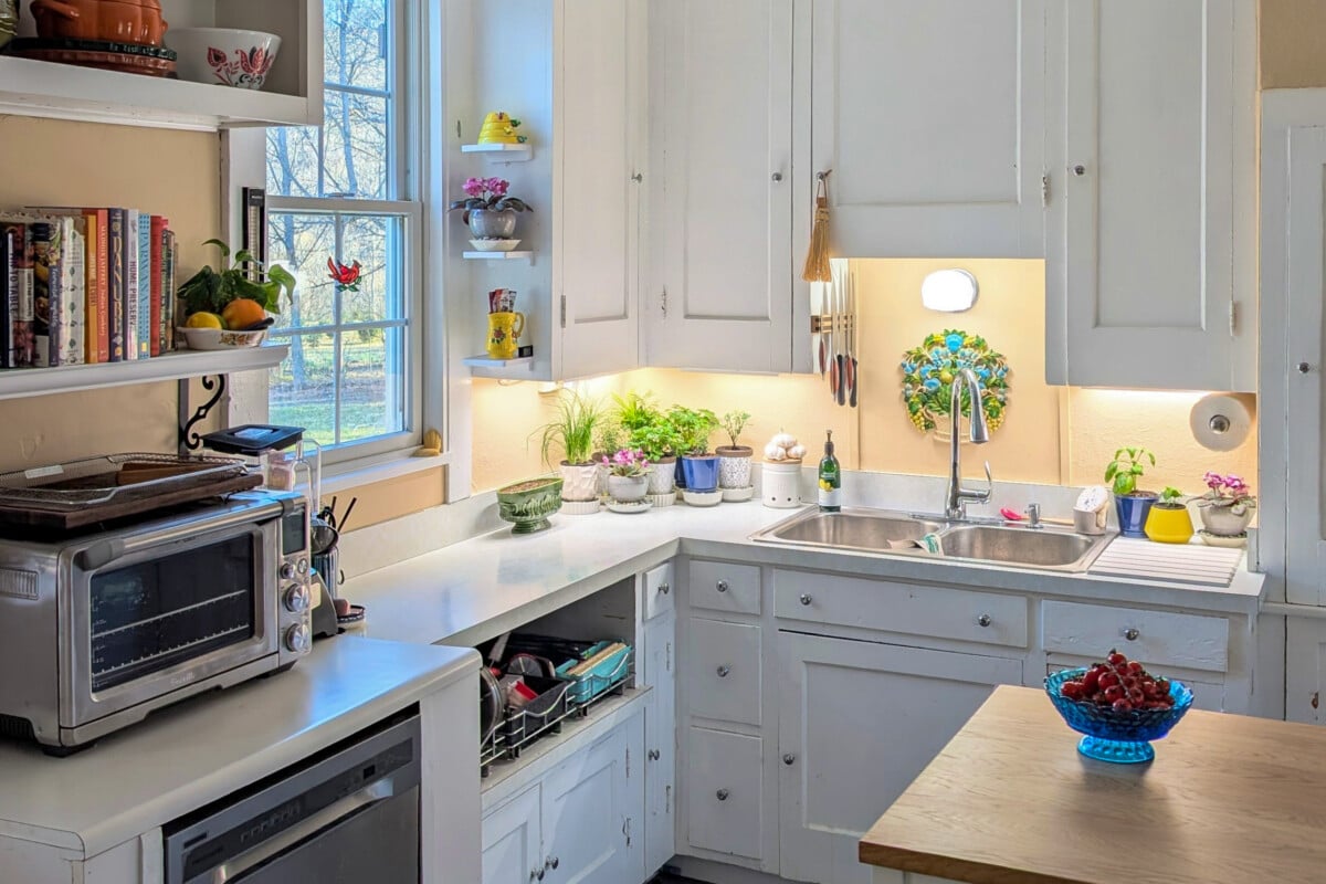 Kitchen with grow lights under the cabinets