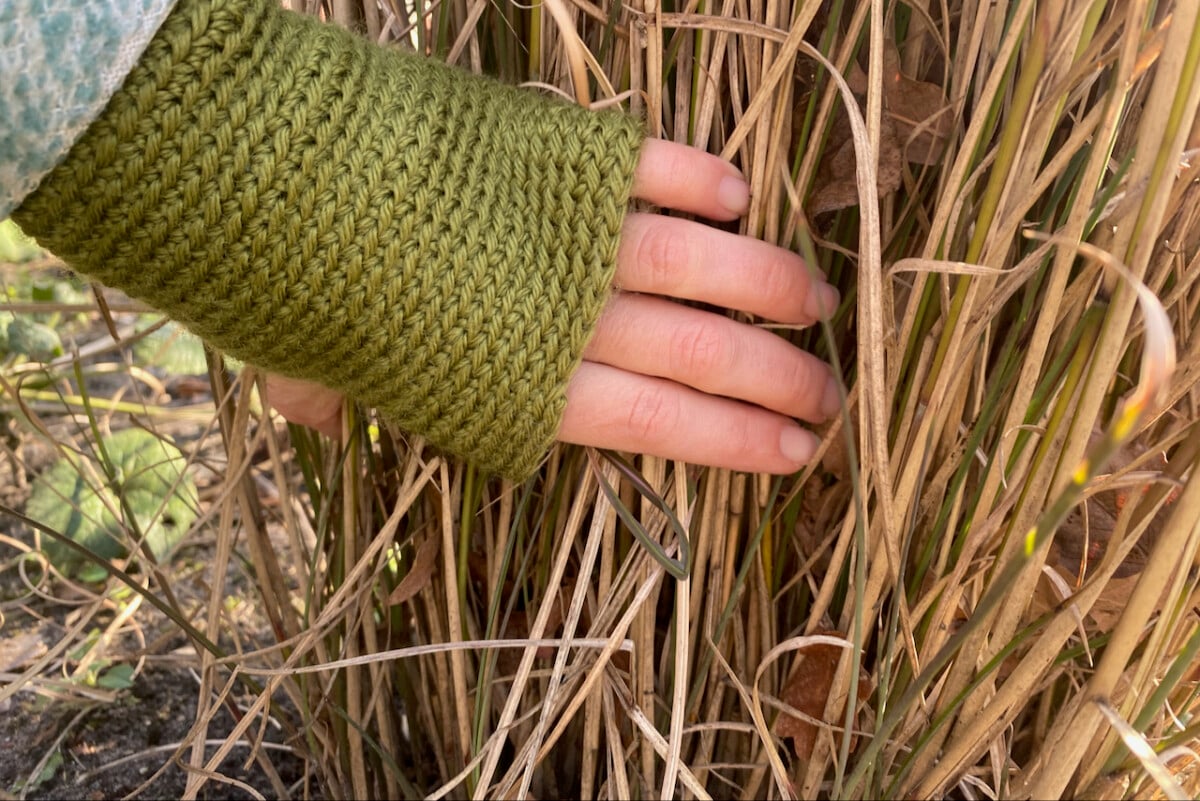 woman's hand holding dried deciduous grasses