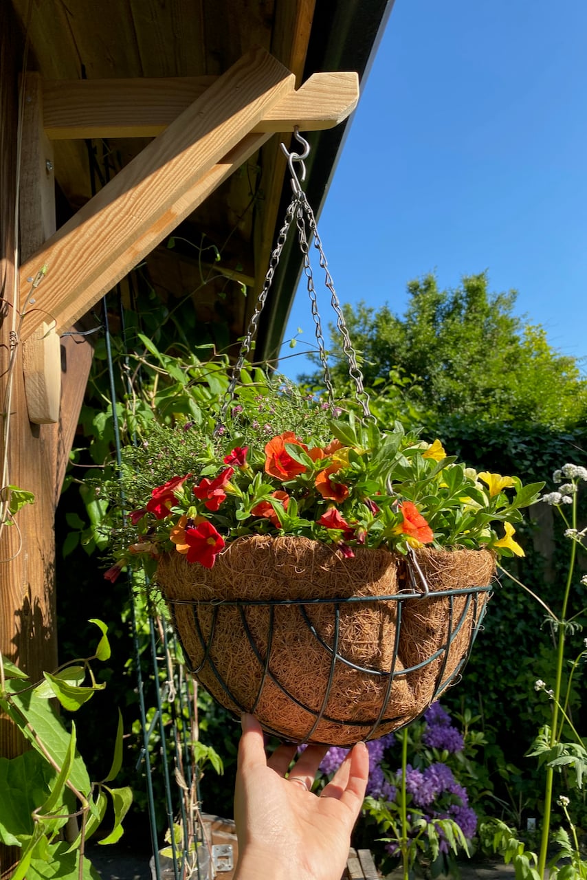 hanging planter with flowers