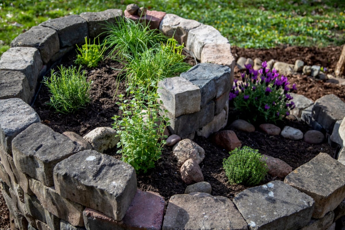 herb spiral garden
