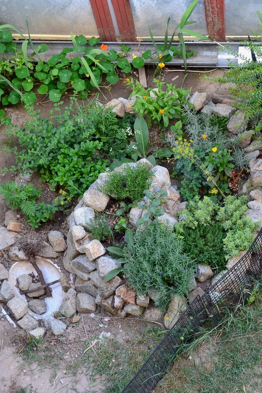 Spiral herb garden