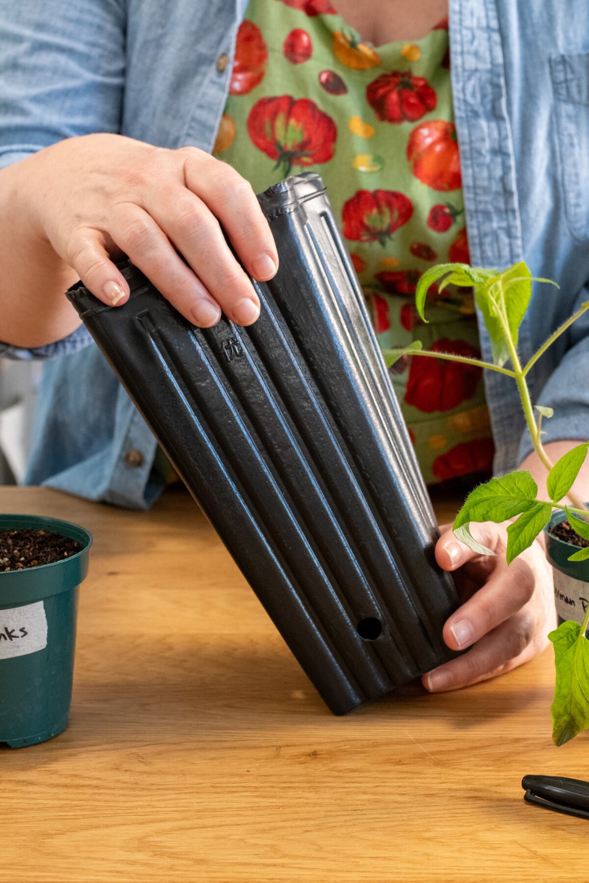 Woman holding tree nursery pot