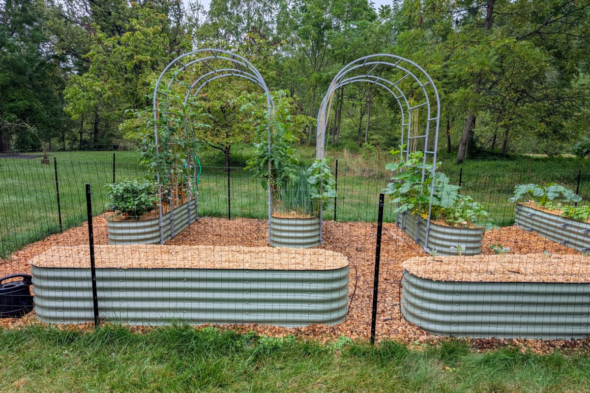 Raised bed garden