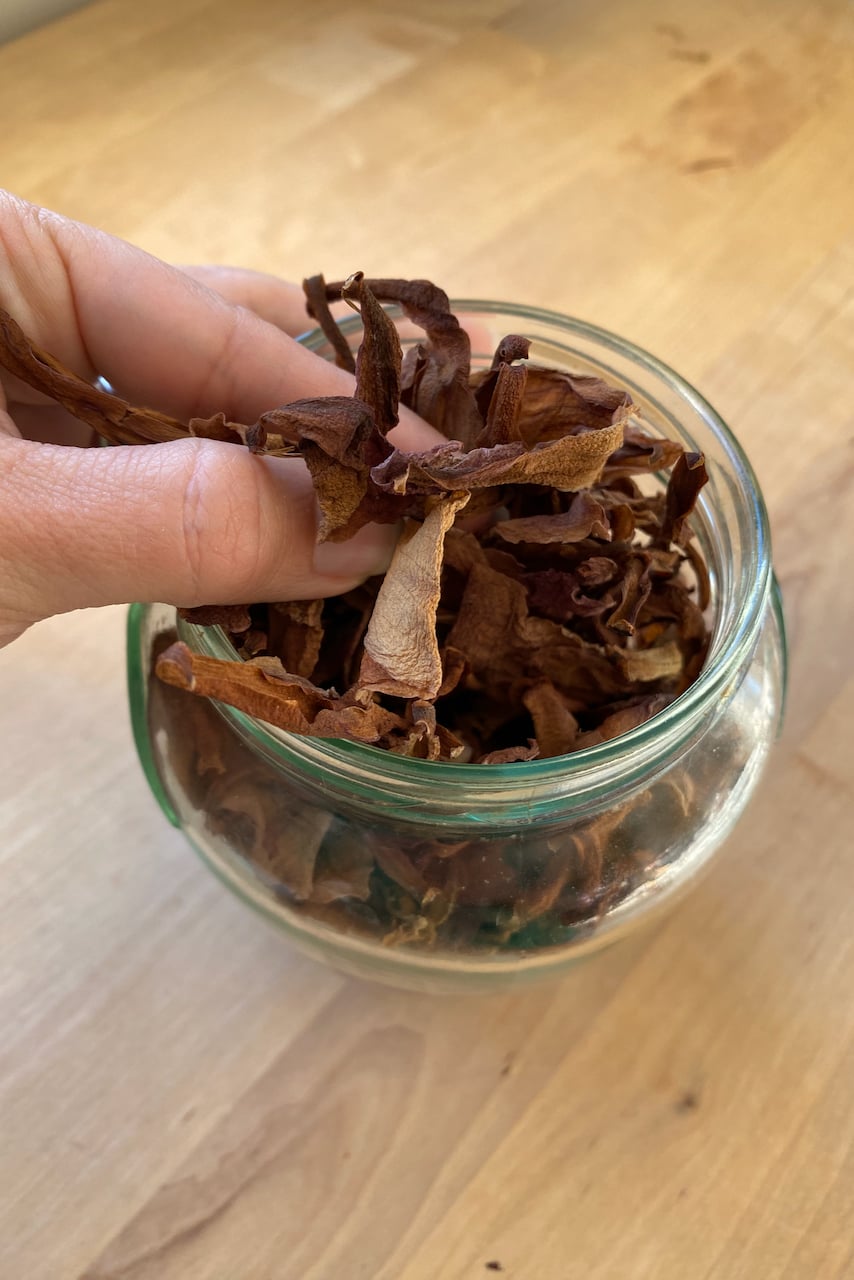 hand holding dried magnolia petals