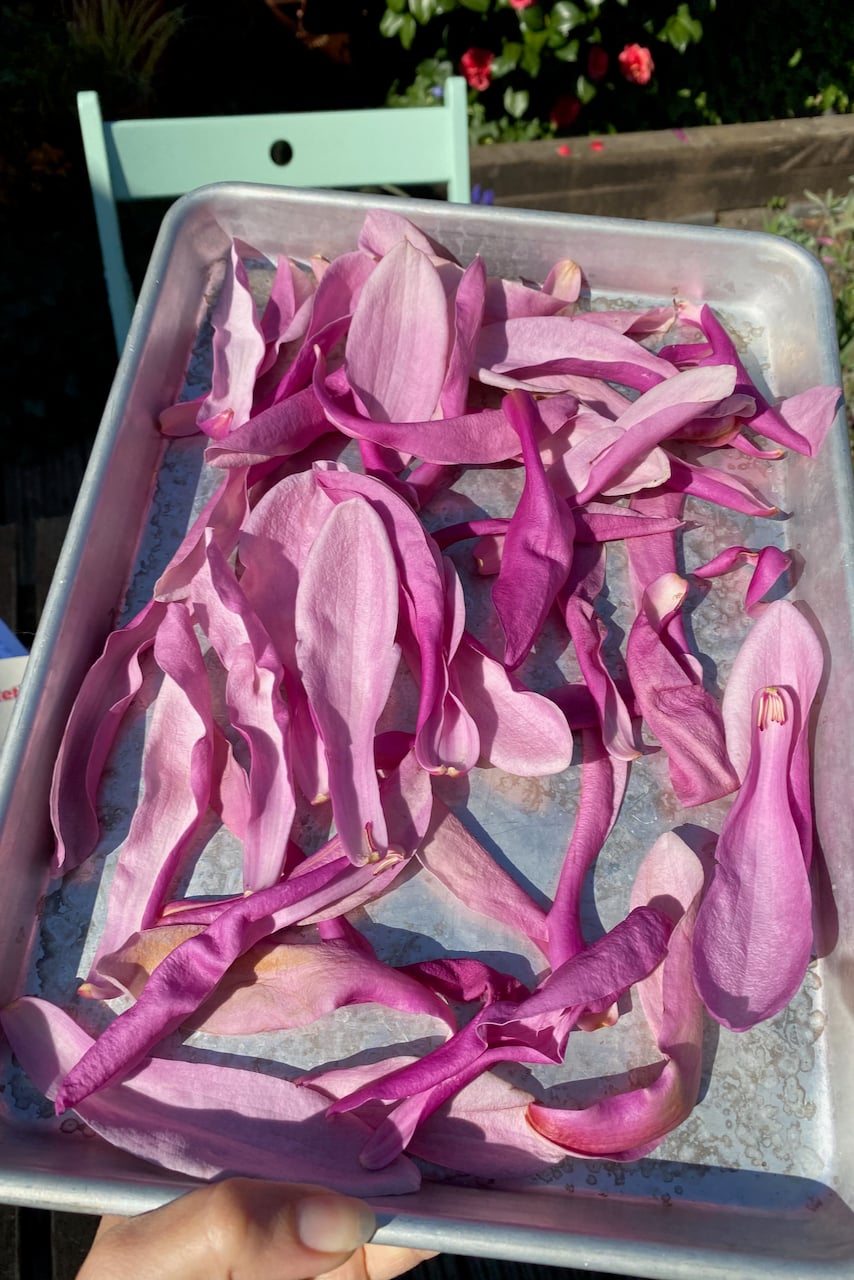 Magnolia petals on tray