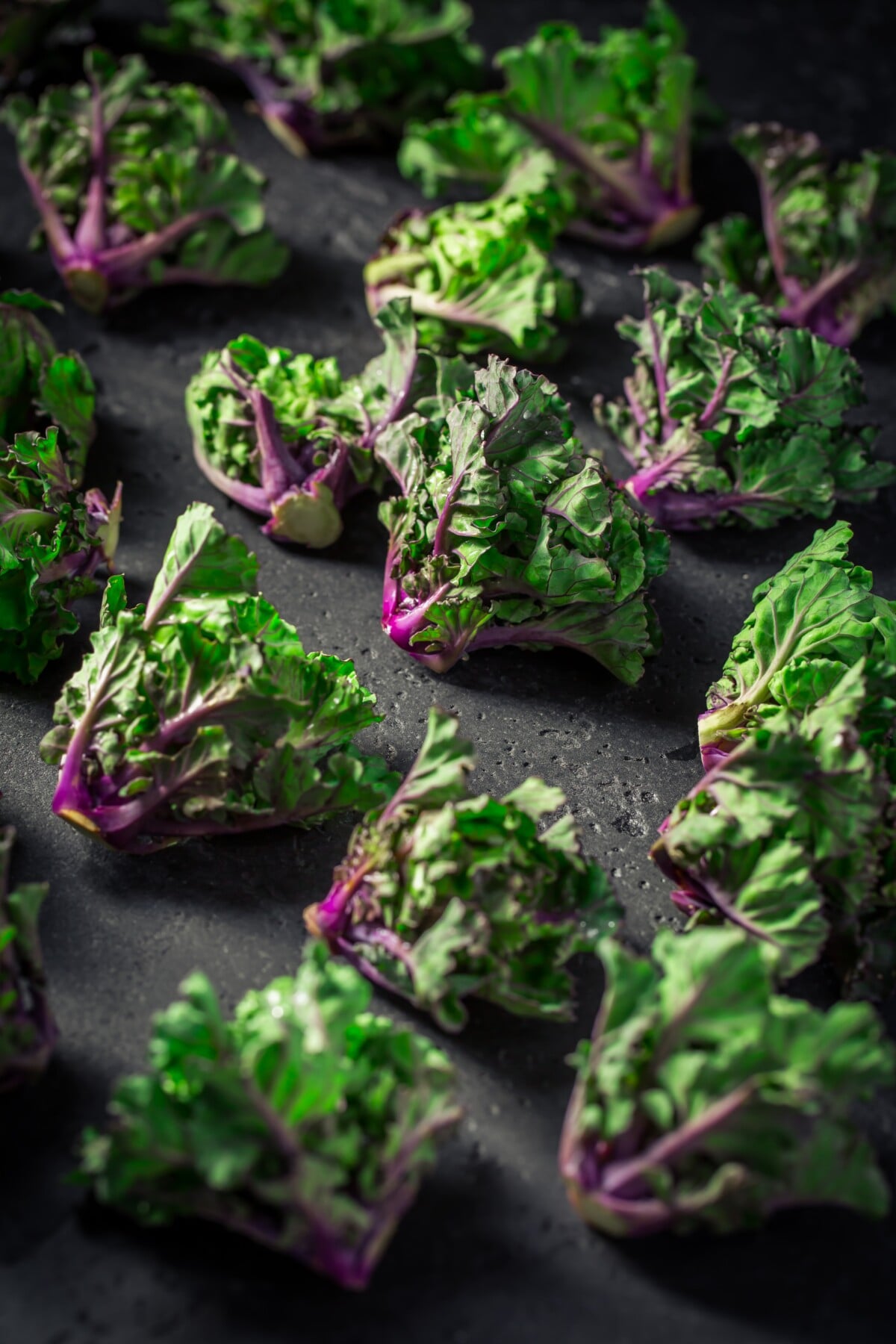 Individual Kalettes