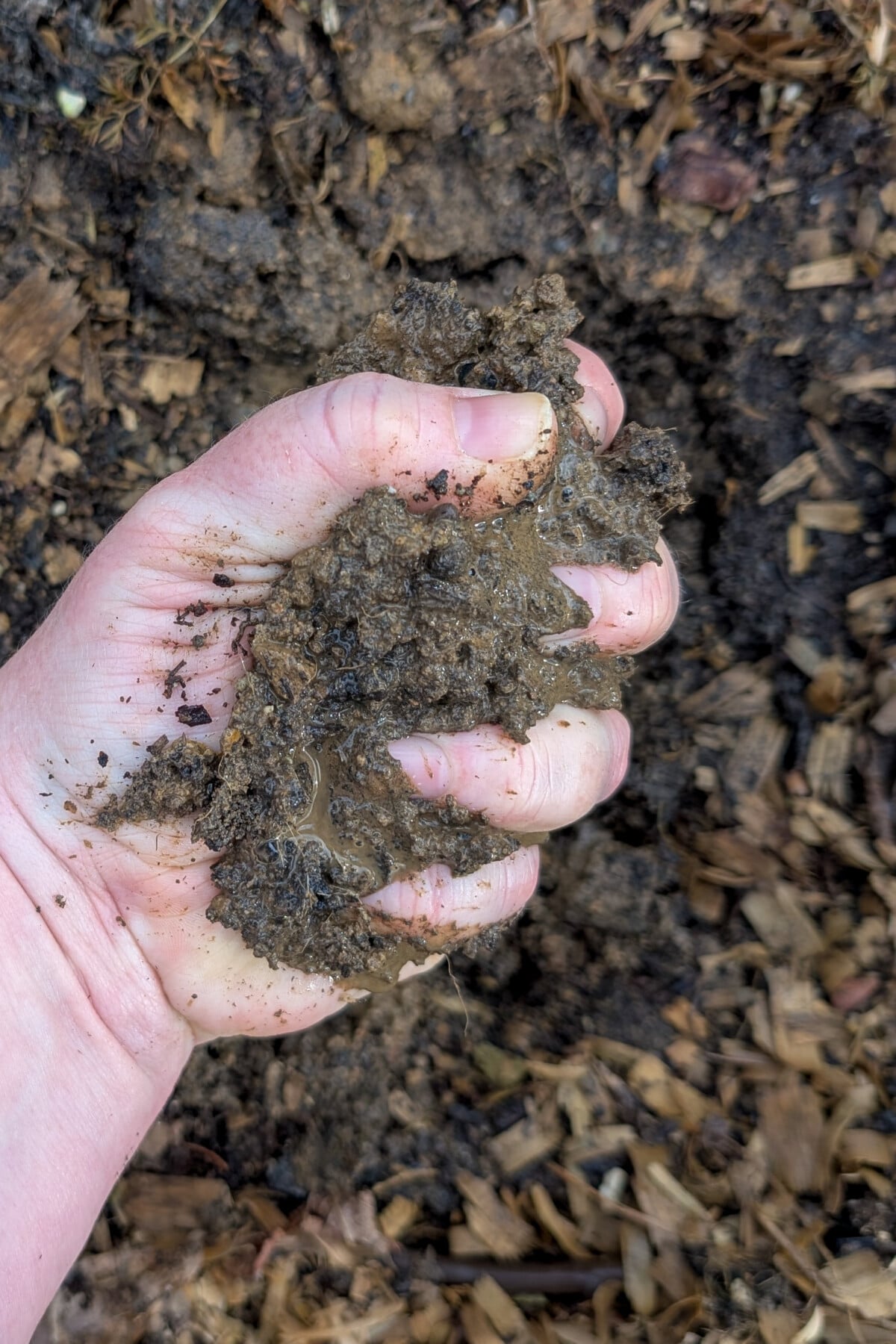 Hand squeezing muddy soil.