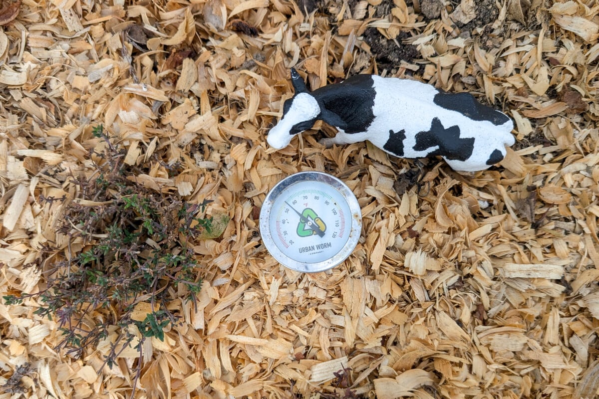 Mulched raised bed with a toy cow and soil thermometer