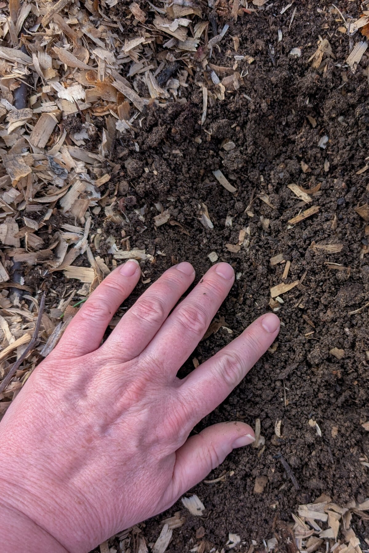 Hand on dirt