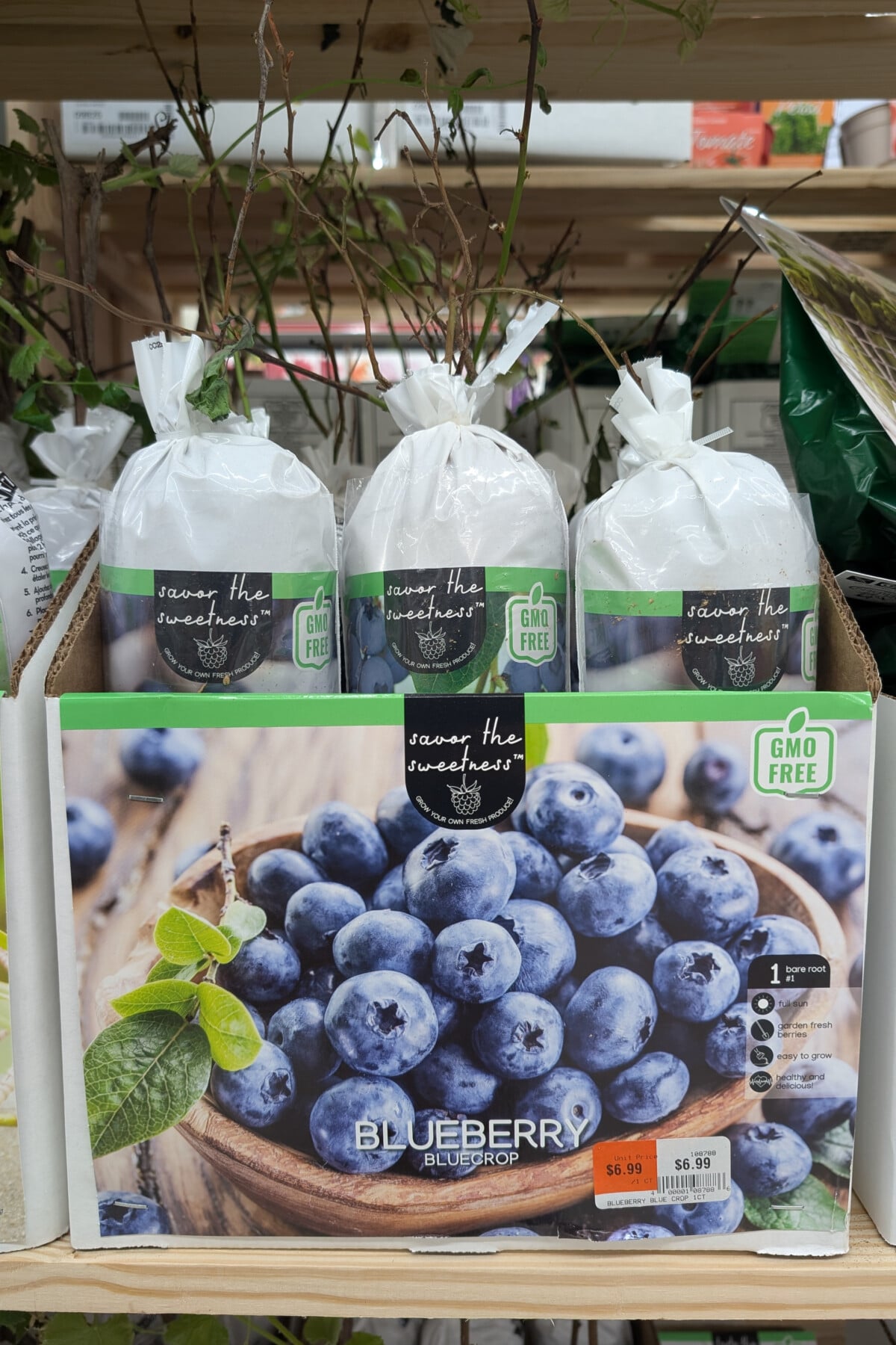 packages of bareroot blueberries