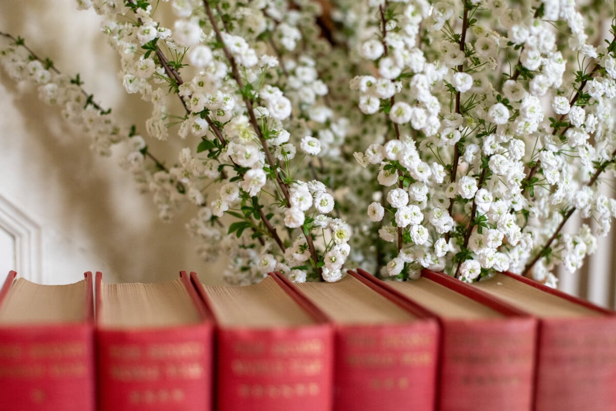 Bridal wreath spirea floral arrangement soft focus