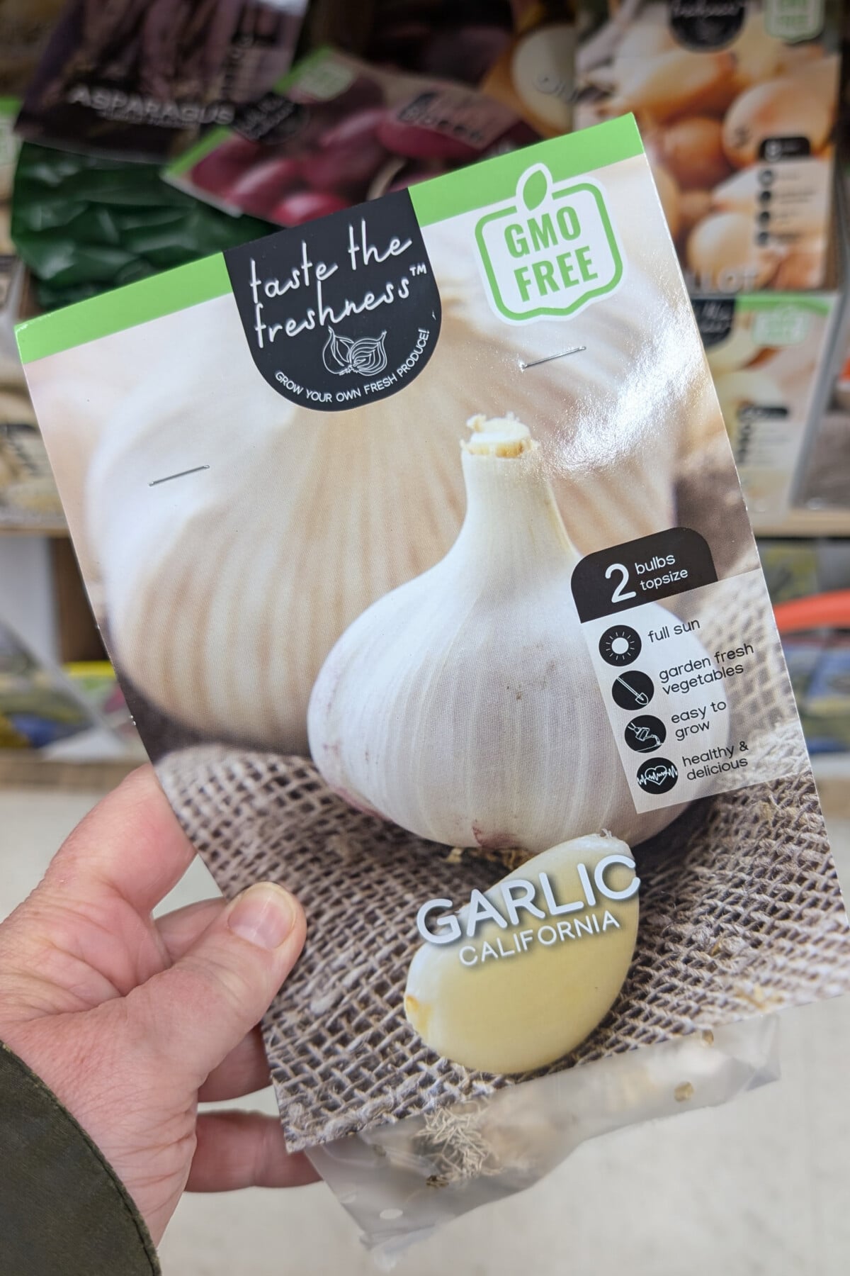 woman's hand holding a package of seed garlic