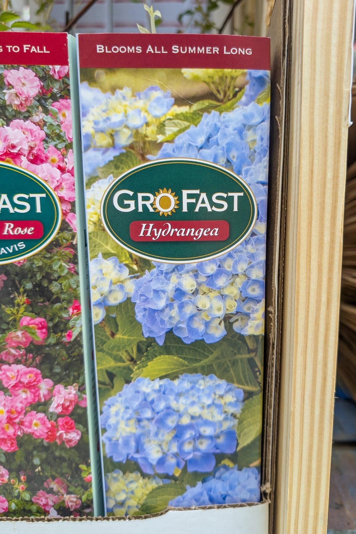 bare root hydrangea package