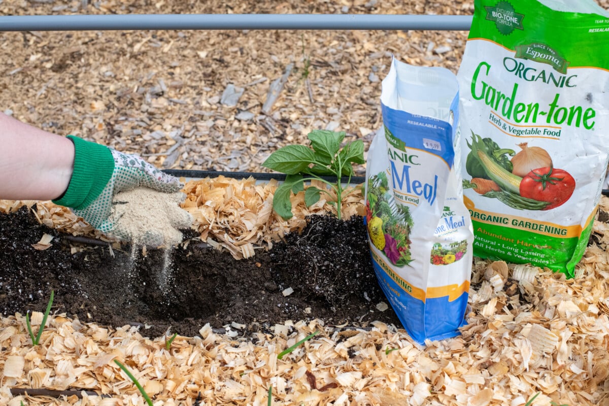 Woman's gloved hand sprinkling bone meal into hole in ground
